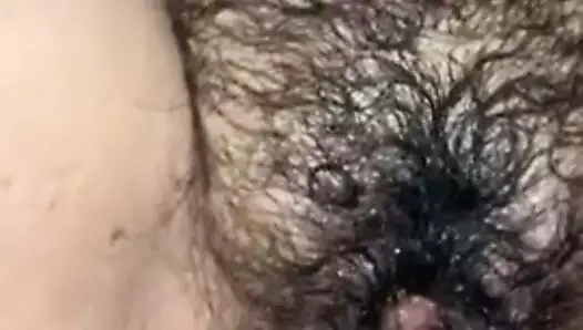 Svrsavanje u dlakavu bosanku