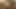 Uzun boylu puta fotoğraf çekimi röportajı