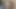 KEDİ olduğunu her zaman aç için ham horoz