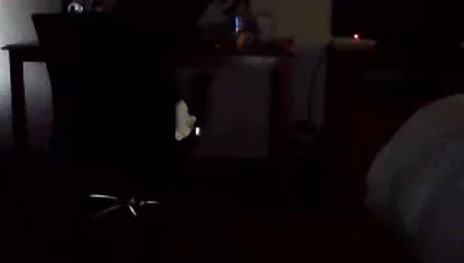 amatör transeksüel