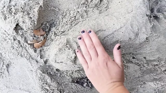 Секс-арт пениса на летнем пляже