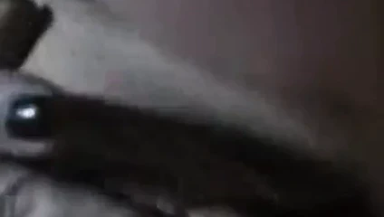Şişman amcık