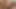 Marica hase teaser 1