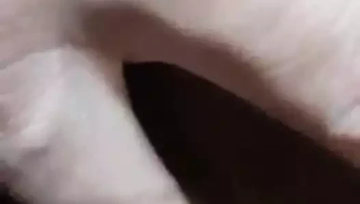 Bbw kedi becerdin (teaser)