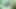 Stacxxxs sunar: Greenlight Special - Amber Lee