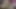 Hotkinkyjo sarkık yumruk sokuyor ve alexthorn ii ile sikişiyor