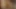 Hotkinkyjo bar masasında anal sarkma ve lastik yumruk