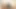 Seksi, yağlı vajina kız, titreşen dildo ile kameranın önünde mastürbasyon yapıyor