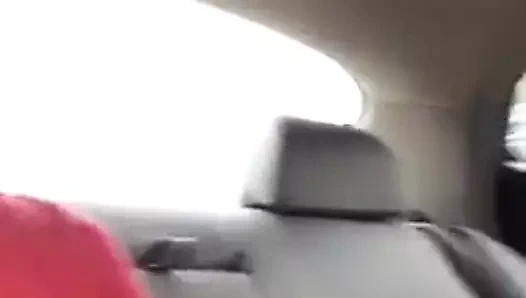 CASALE M.31 RUMENA IN AUTO CON AMICHE