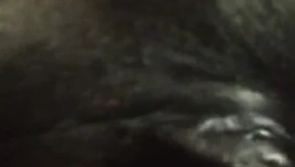 Abanoz oynama ile ona kedi