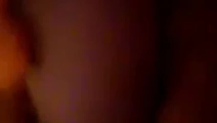 Eş oynuyor ile ona sulu kedi