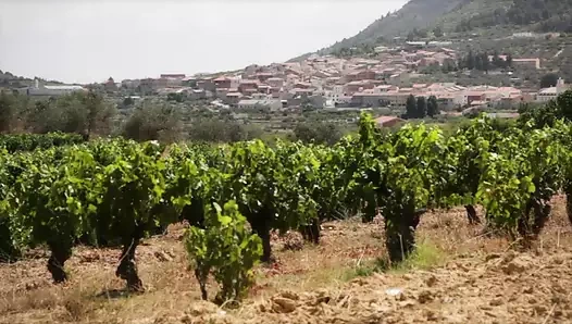 Alcadesa belediye başkanı işi deutsch - bölüm 1