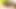 Lezbiyen aşıklar sahne 1_gorgeous büyük memeli esmer lezbiyenler amcık yiyor ve dildoyla birbirlerini sikiyor