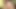 Tombul orta yaşlı seksi kadının göğüslerini ve amını sikmesi için üvey oğluna ihtiyacı var