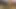 Coco ve Mila'nın şehvetli kabarık ceket esaret macerası! (4k)
