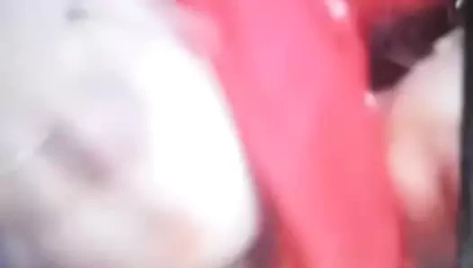 Si Comel bosan tiada kawan main