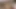 Kinkyniky derin anal oyuncak ve göbek sikişi + sarkma