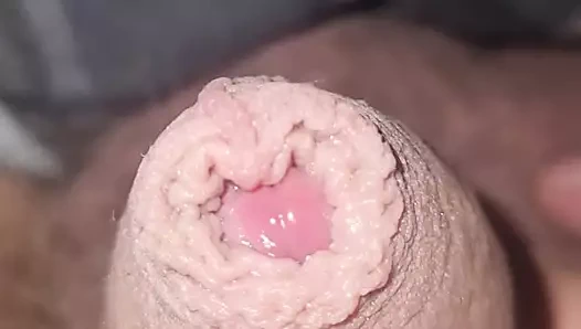 Islak küçük küçük yarak