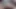 Shinobu Kocho fucks in a night garden with blooming wisteria. 3d Hentai Ai generated anime porn