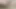 Hotkinkyjo yeni xo spekulum & 40cm dong derin sikme öğrenci