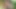 Horny German Girl masturbates in the middle of the jungle (Risky JOI)