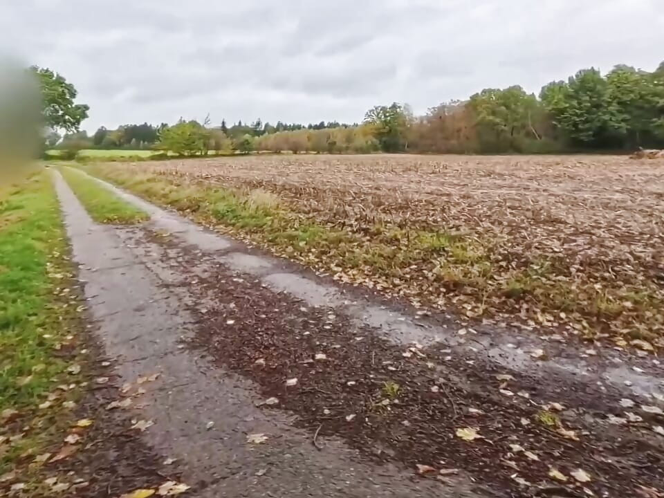 Young and naked on a dirt road