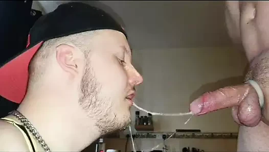 Tükürmek n salya üzerinde o çük domuz