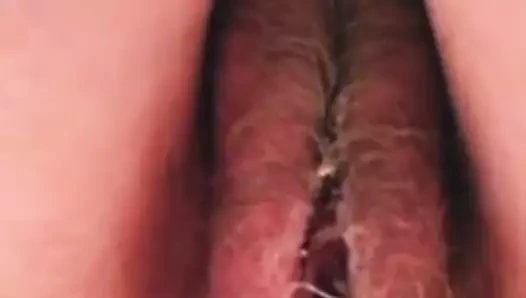 Kıllı olgun amcık