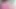 Pembe tayt beyaz file teaser