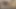 Aldatan minyon Asyalı evli kadın dikkati dağılmış kocası tarafından kiralanan büyük yaraklı fotoğrafçıyla sikişiyor