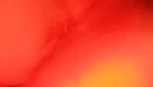 Sweetlanka'nın kedisi