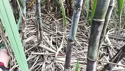 Hintli köy videoları xhamster yapıyor. Gelmek