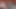 Fucking Secretly with Stepbrother and He Cums Inside My Pussy with His Big Cock