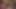 Capri cavanni ve dani daniels ffm eylem