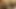 Seksi bbw dev doğal memeler çalış ile kedi