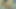 Indian pregnant wife had hardcore sex with her boyfriend