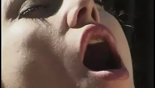 sarışın güzellik alır onu traş ıslak KEDİ yaladı açık havada