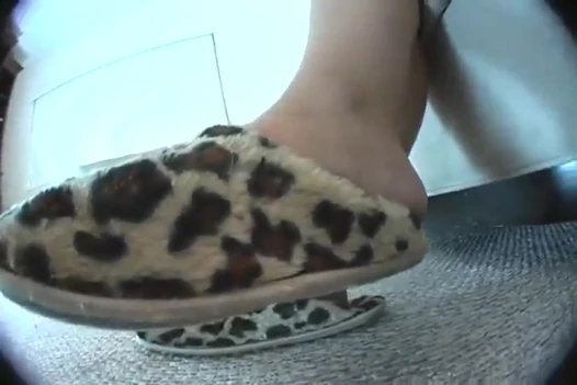 The Fuzzy Slippers