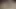 Dani egzersiz topları ile egzersiz yapıyor ve oynuyor