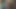 Jordan monroe antrenmanı