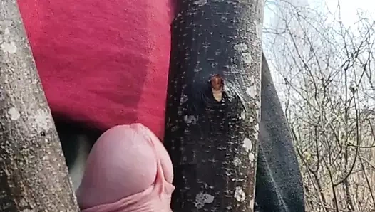 Tombul adam işe ara verip bir ağacı sikmeye karar verdi