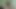 amatör sürtük ev yapımı porno 231