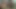 Benden garip bir fetiş fışkırtmamı istiyor