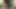 Zoe kazan - devrimci yol