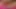 Paskalya tavşanı sindy gül sarkma üzerinde penis pompası ile