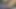 Arap model seksi Arap evli kadınla otel odasında sert sikiliyor