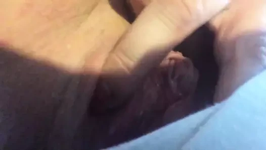 KEDİ oyun