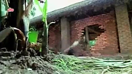 Sridavi bikinili seksi