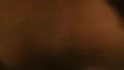 Desi kedi dövülerek tarafından beyaz horoz