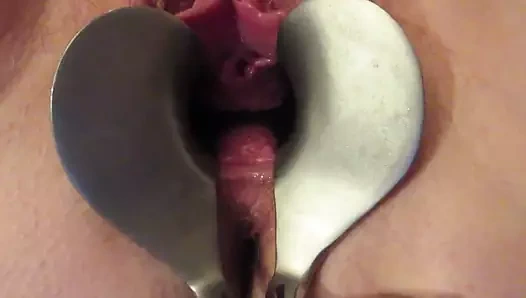 spekulum sokma açık KEDİ